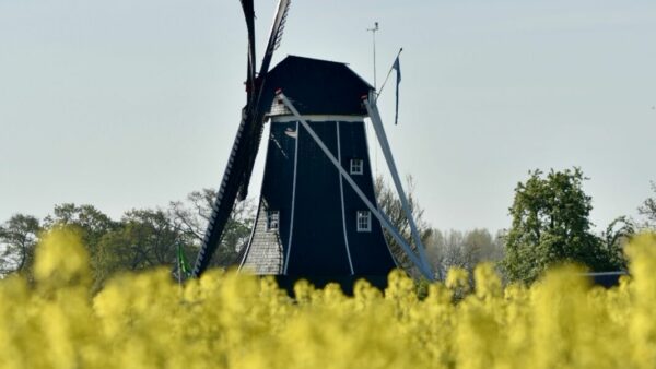 Benninkmolen Koningsdag geopend