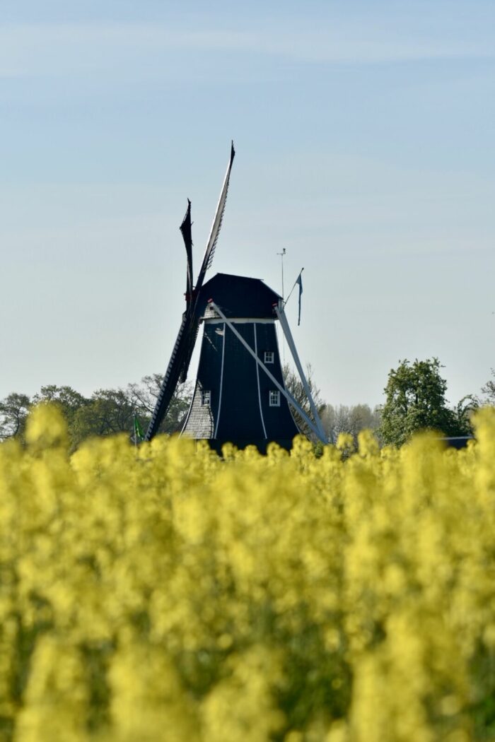 Benninkmolen Koningsdag geopend